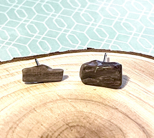 Petrified Wood Stud Earrings