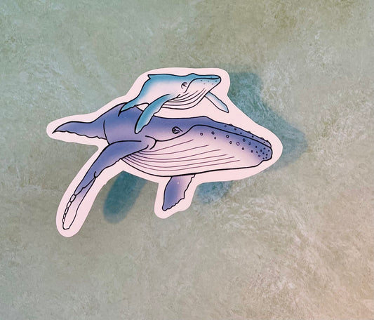 Humpback Whale Sticker