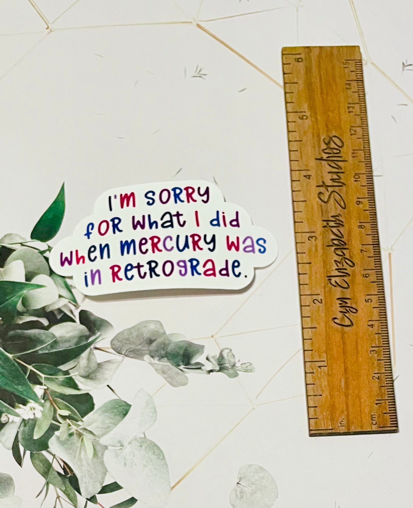 I’m Sorry for What I Did When Mercury was in Retrograde Sticker